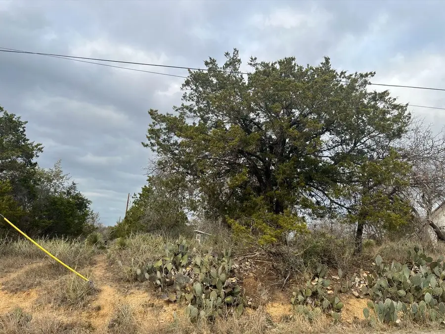 Lot 261 W Briarway Drive, Granite Shoals, TX 78654 - #3