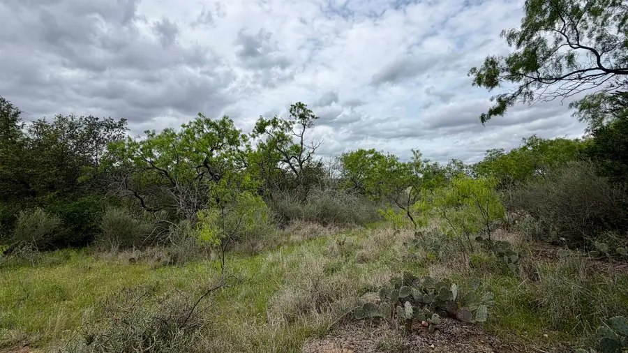 LT 44 Lewis Lane, Kingsland, TX 78639 - #2