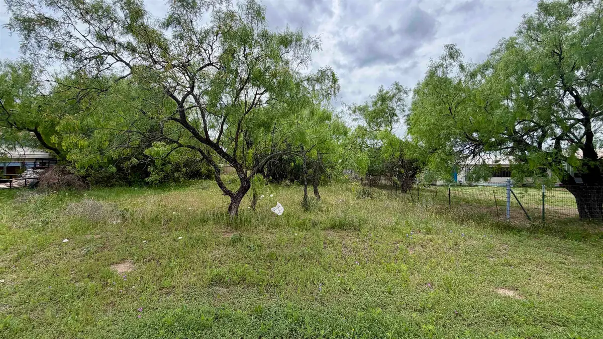 LT 129 Fawn Street, Kingsland, TX 78639 - #1
