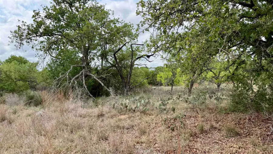 Lot 104 Ridgemont, Kingsland, TX 78639 - #3