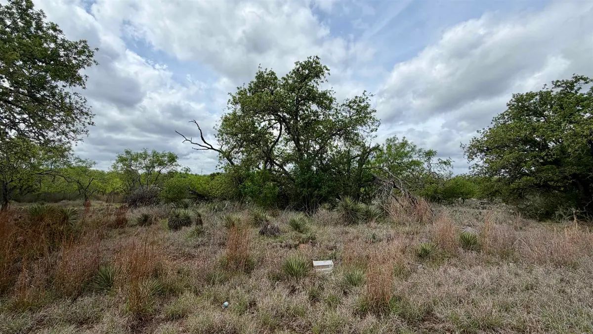 Lot 105 Ridgemont, Kingsland, TX 78639 - #1