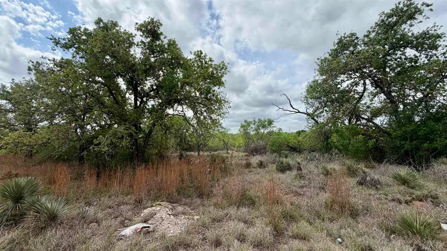 Lot 105 Ridgemont, Kingsland, TX 78639 - #2