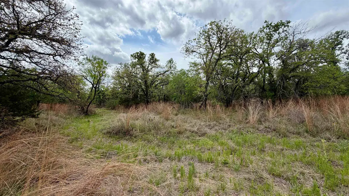 Lot 110 Ridgemont, Kingsland, TX 78639 - #1