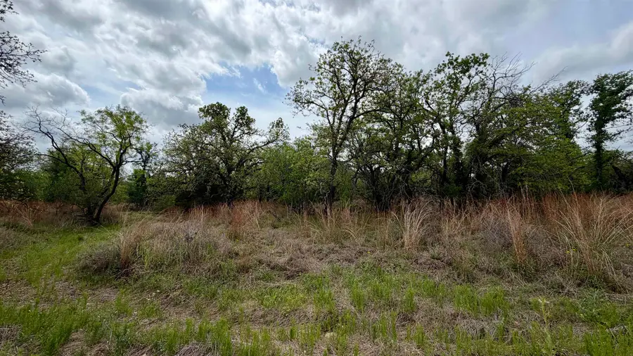 Lot 110 Ridgemont, Kingsland, TX 78639 - #2
