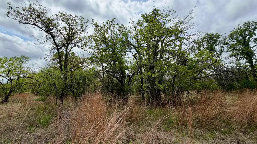 Lot 110 Ridgemont, Kingsland, TX 78639 - #3