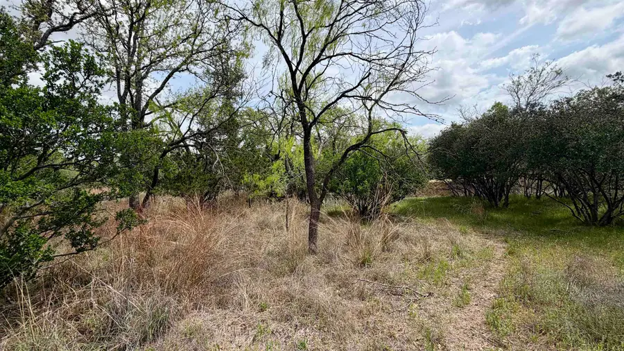 Lot 111 Ridgemont, Kingsland, TX 78639 - #2