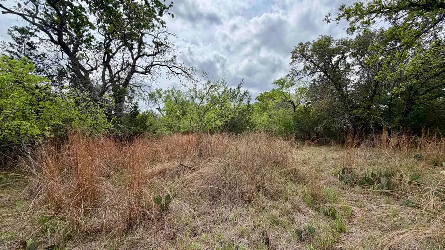 Lot 117 &142 Ridgemont & Brent, Kingsland, TX 78639 - #2