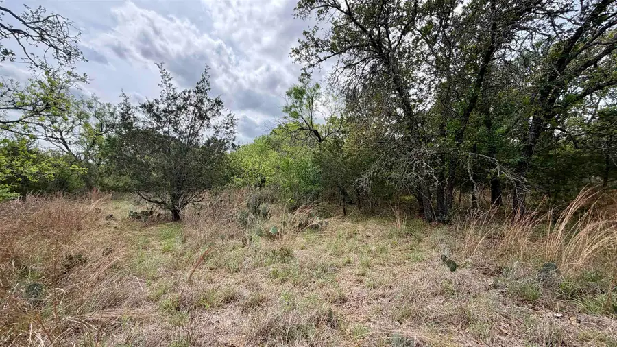 Lot 117 &142 Ridgemont & Brent, Kingsland, TX 78639 - #3