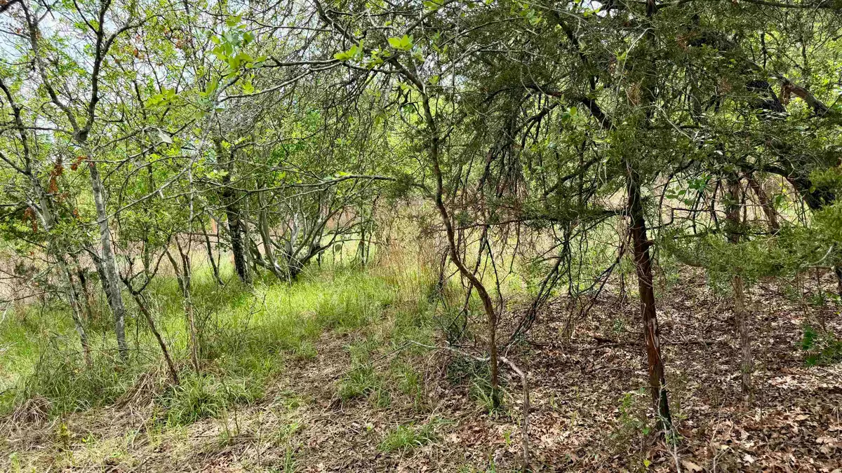 Lot 118 Ridgemont, Kingsland, TX 78639 - #1