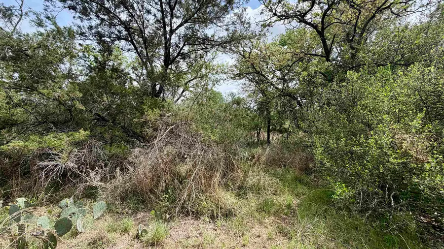 Lot 118 Ridgemont, Kingsland, TX 78639 - #2