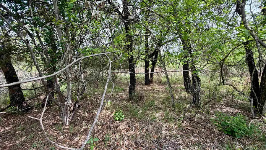 Lot 118 Ridgemont, Kingsland, TX 78639 - #3