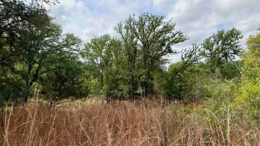Lot 119 Ridgemont, Kingsland, TX 78639 - #2
