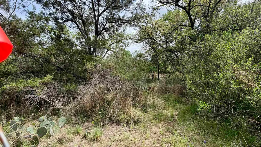 Lot 119 Ridgemont, Kingsland, TX 78639 - #3
