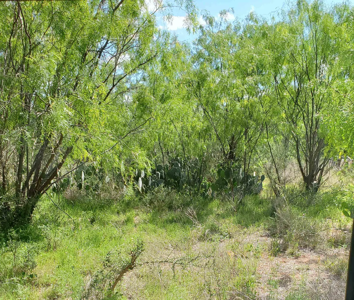 Lot 303 Driftwood Drive, Granite Shoals, TX 78654 - #1