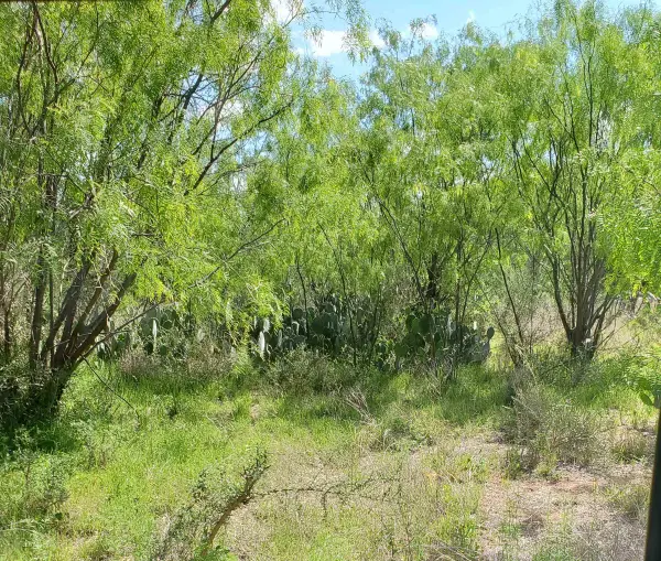 Lot 303 Driftwood Drive, Granite Shoals, TX 78654