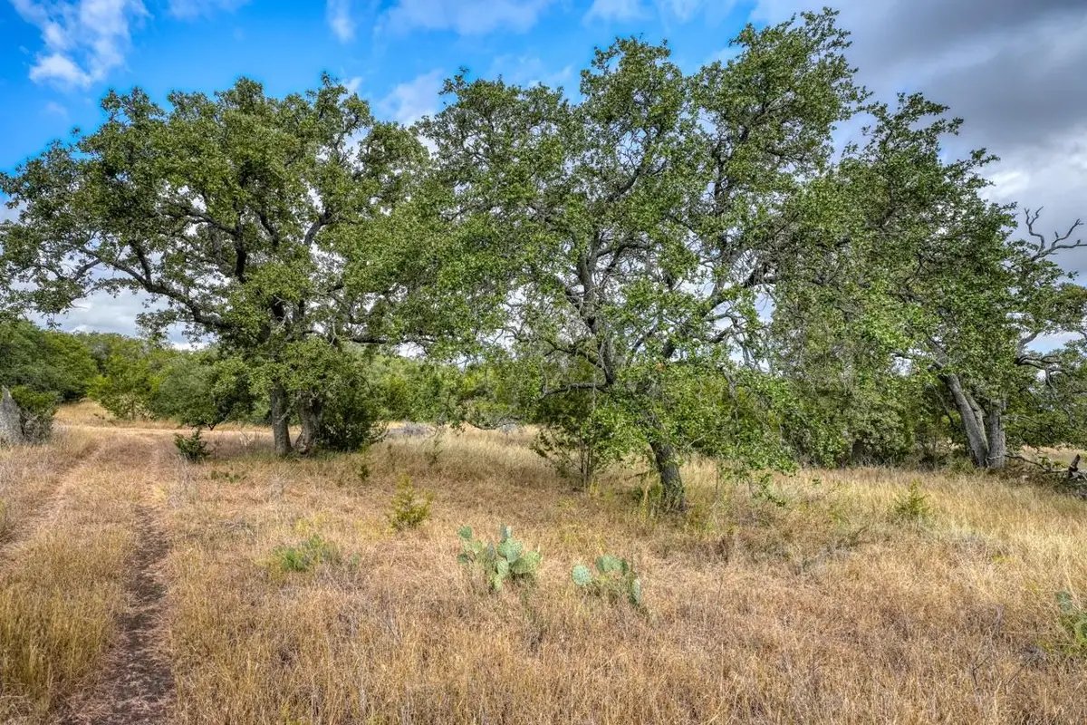 TBD Cr 103, Burnet, TX 76550 - #1