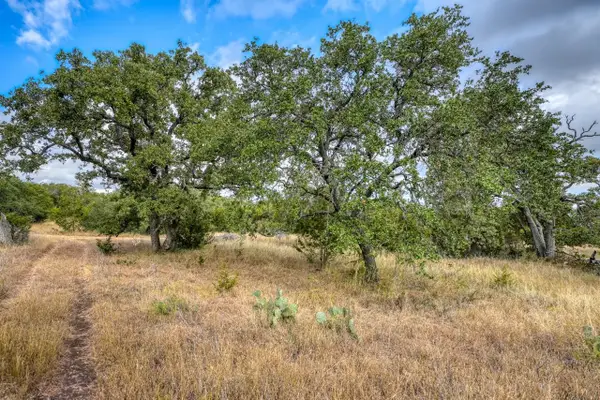 TBD Cr 103, Burnet, TX 76550