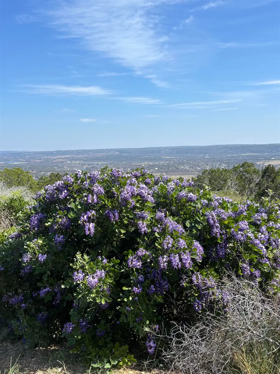 1056 Escalar Drive, Kingsland, TX 78639 - #3