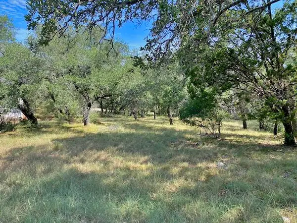 Lt W35049 Apache Tears, Horseshoe Bay, TX 78657