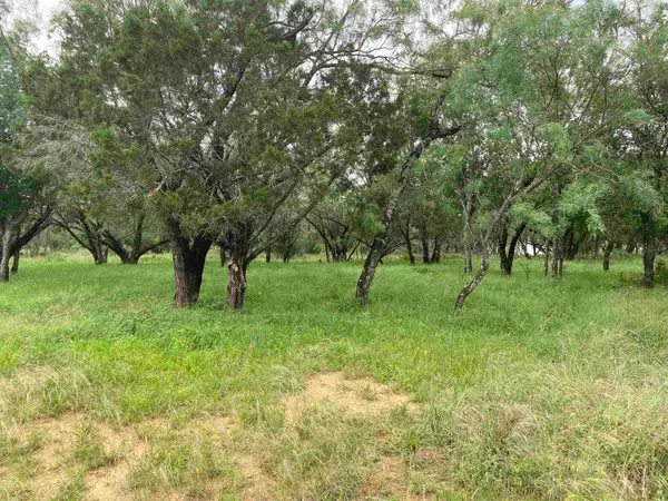 TBD Driftwood Lane, Cottonwood Shores, TX 78657