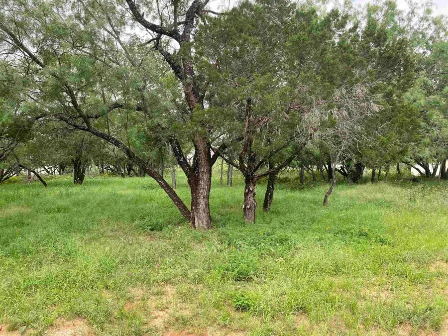 TBD Driftwood Lane, Cottonwood Shores, TX 78657 - #2