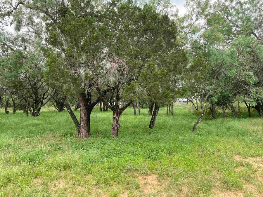 TBD Driftwood Lane, Cottonwood Shores, TX 78657 - #3