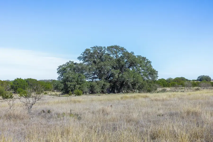 Lot 2 Bluestem Lane, Lampasas, TX 76550 - #2