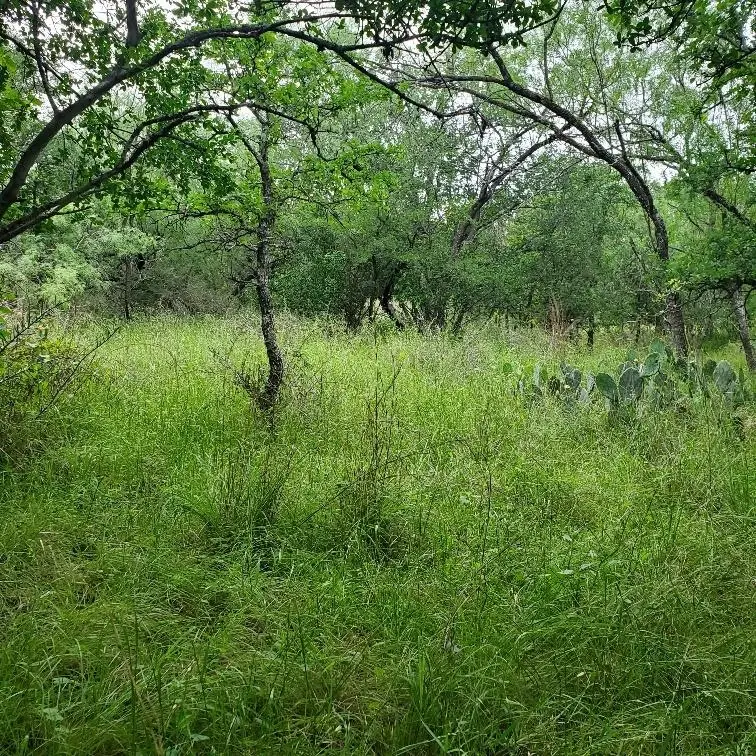 Lots 521, 522 Lake Drive, Granite Shoals, TX 78964 - #1