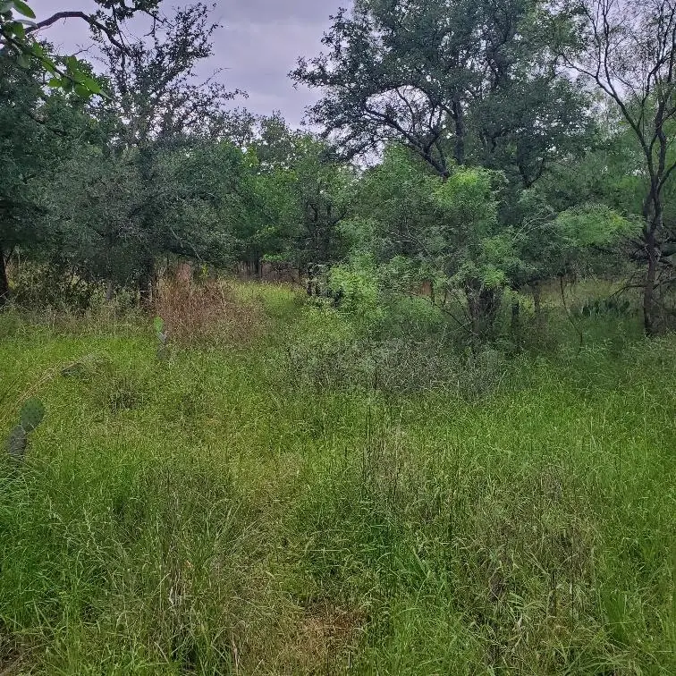 Lots 521, 522 Lake Drive, Granite Shoals, TX 78964 - #3