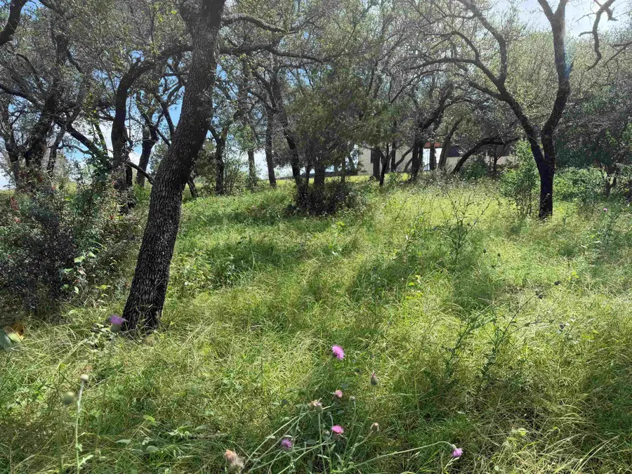 117 Lost Nugget, Horseshoe Bay, TX 78657 - #3