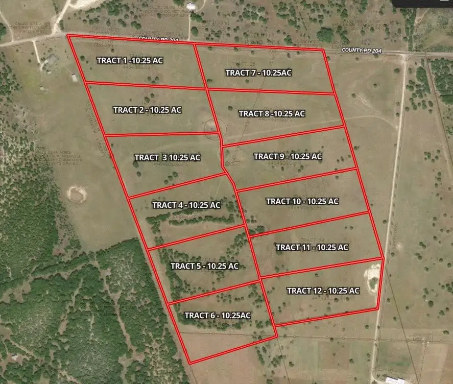 Tract 2 County 204 Road, Burnet, TX 78611 - #1