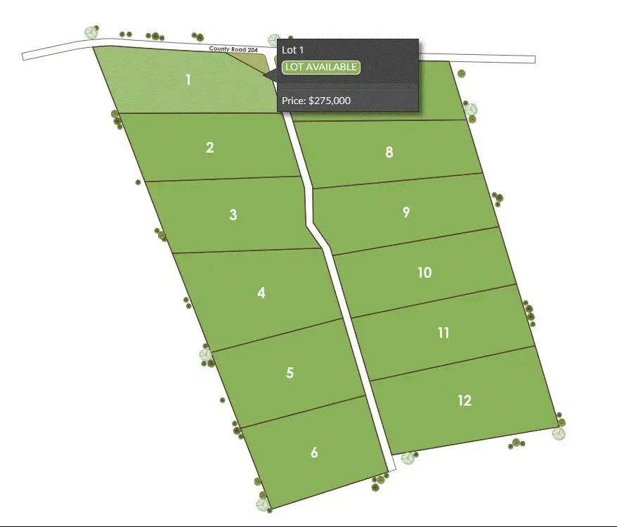 Tract 1 County 204 Road, Burnet, TX 78611 - #2