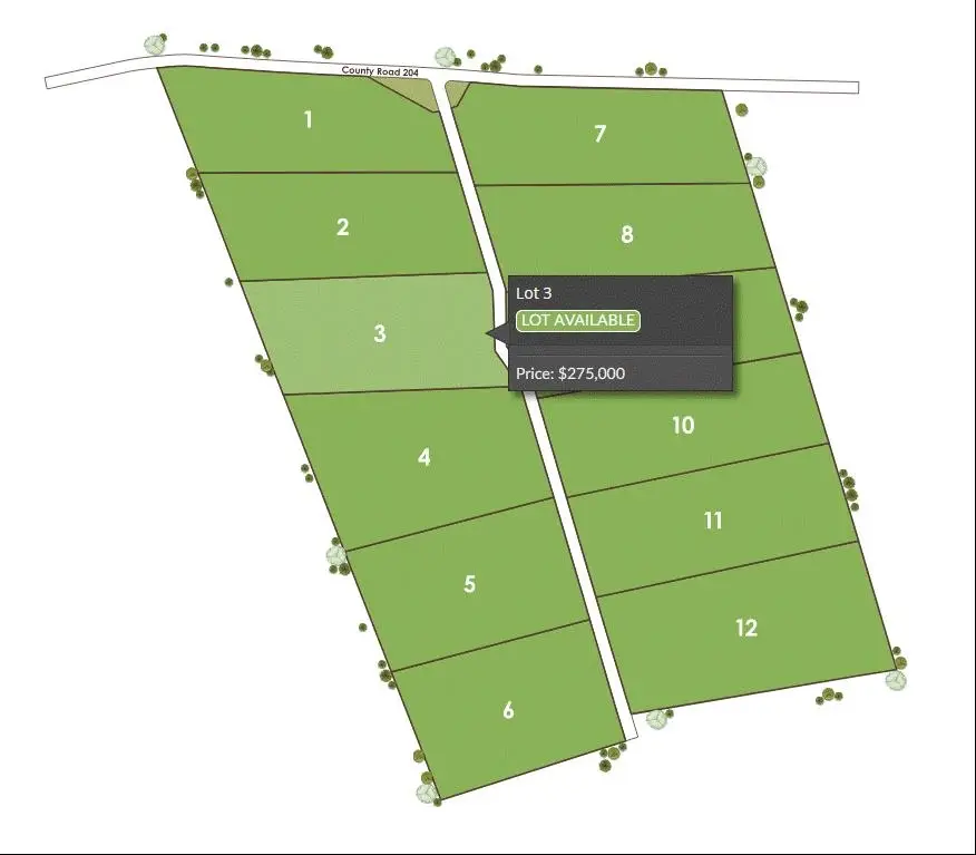 Tract 3 County 204 Road, Burnet, TX 78611 - #3