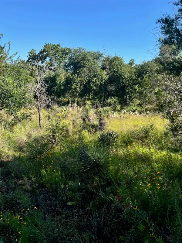 0 Castlelake Drive, Granite Shoals, TX 78654