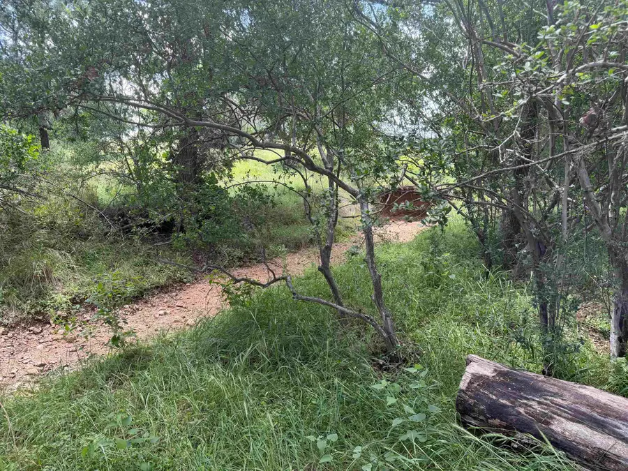 319 Lakawana, Horseshoe Bay, TX 78657 - #2
