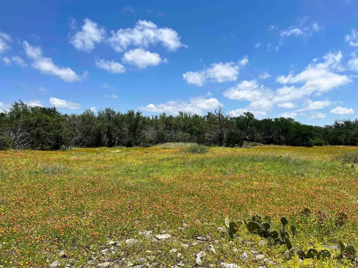 LOT 28 Twisted Oak Drive, Horseshoe Bay, TX 78657 - #1