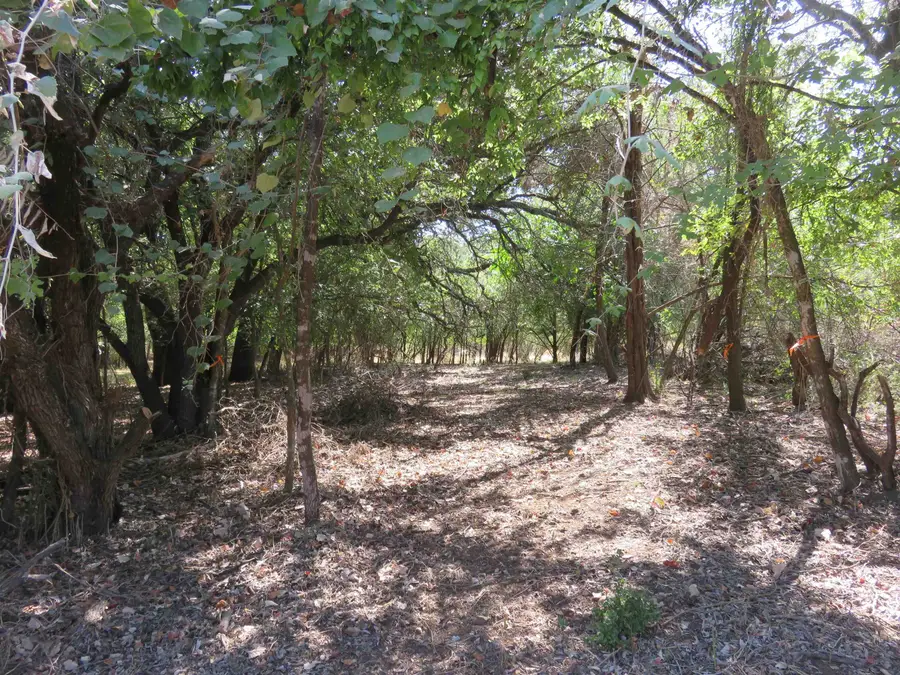 606 Sandy Mountain Drive, Sunrise Beach Village, TX 78643 - #2