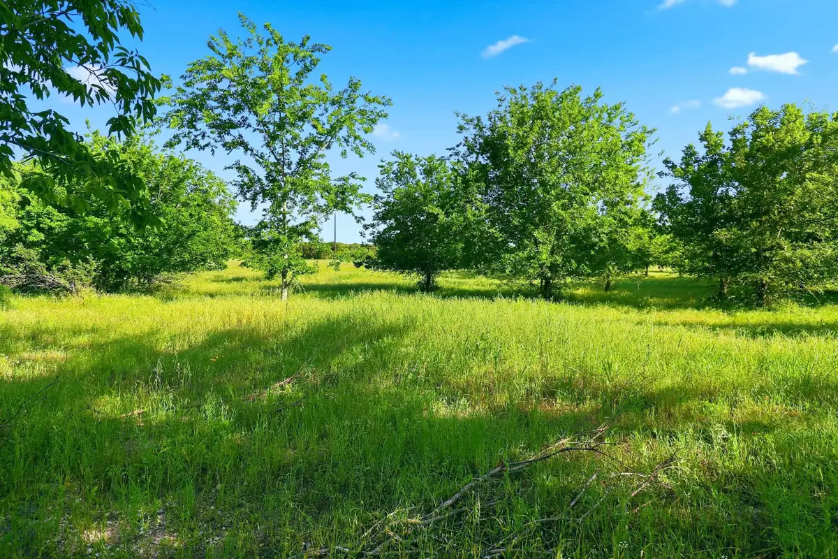 211 Cr 204, Burnet, TX 78611 - #1
