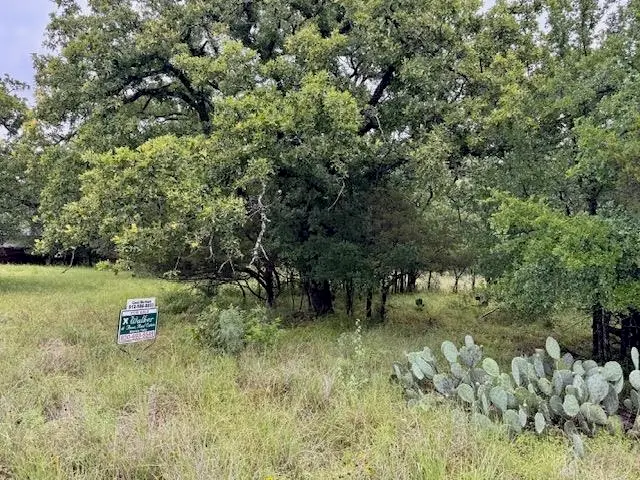 Lot 27 Pecan Lane, Cottonwood Shores, TX 78657 - #1