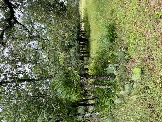 Lot 27 Pecan Lane, Cottonwood Shores, TX 78657 - #2