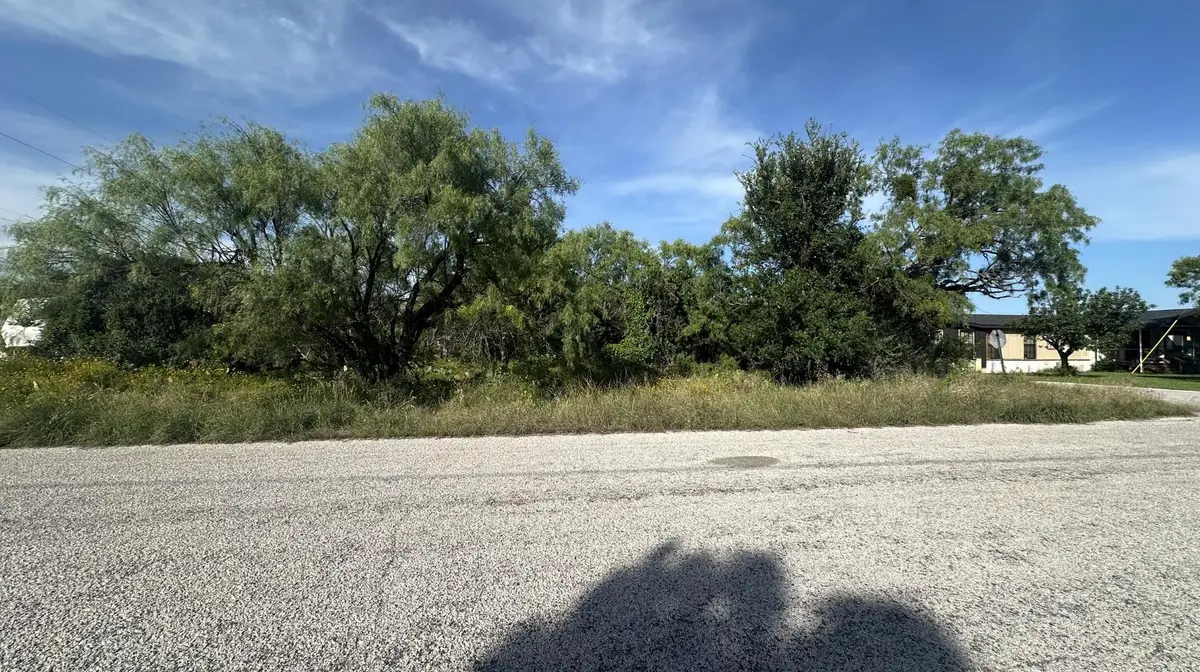 LT 852 & 853 Melba Lane, Tow, TX 78672 - #1