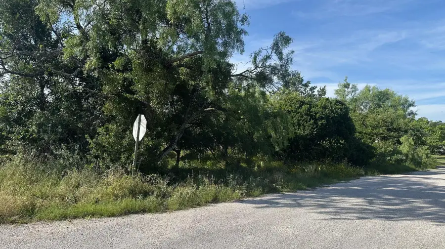 LT 852 & 853 Melba Lane, Tow, TX 78672 - #2