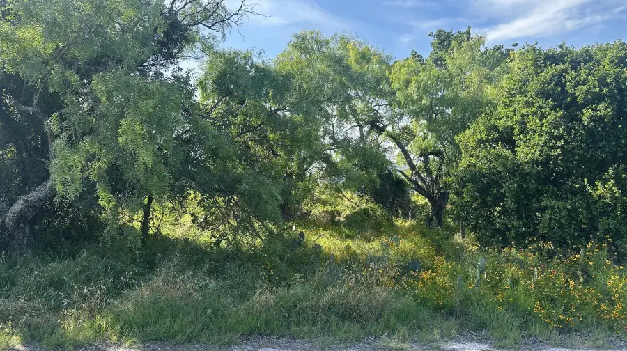 LT 852 & 853 Melba Lane, Tow, TX 78672 - #3