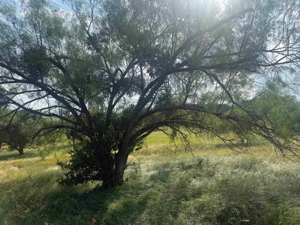 LT W11013A Broken Hills, Horseshoe Bay, TX 78657