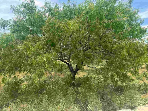 LT W20025-B Lakawana, Horseshoe Bay, TX 78657