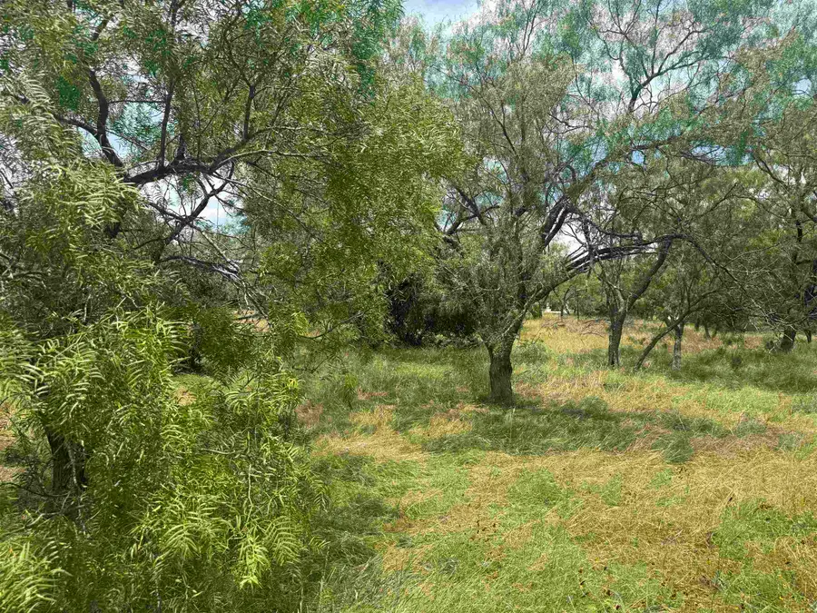 312 Lakawana, Horseshoe Bay, TX 78657 - #3