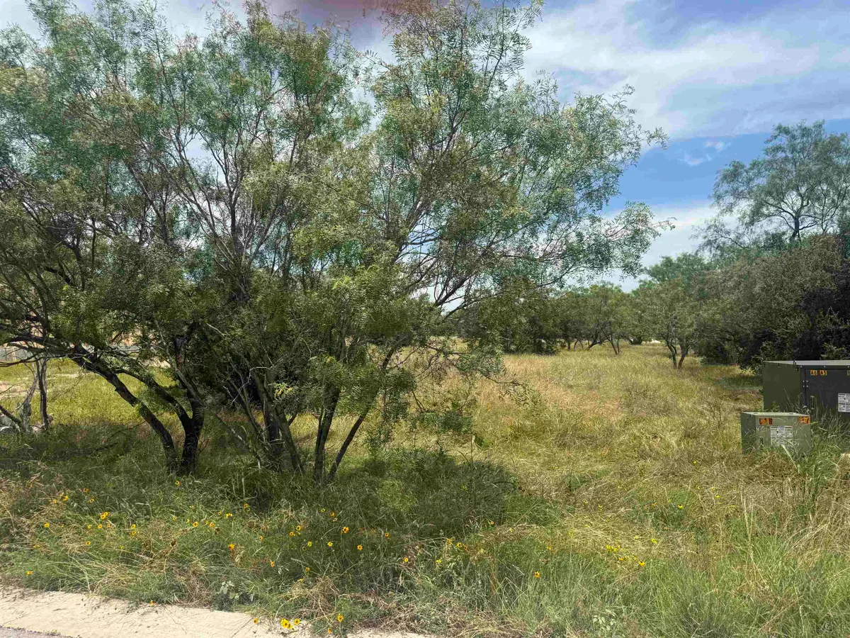 310 Lakawana, Horseshoe Bay, TX 78657 - #1