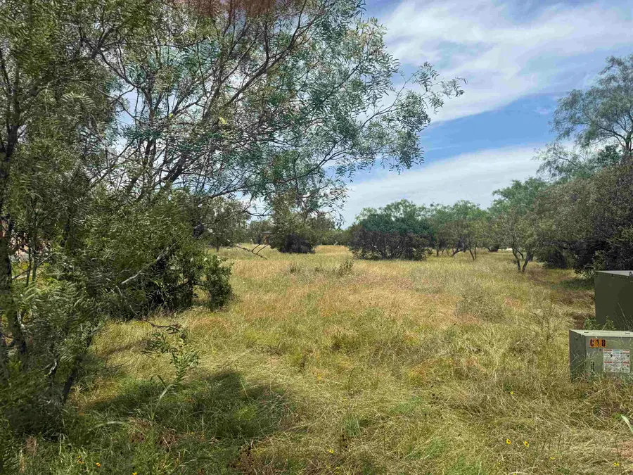 310 Lakawana, Horseshoe Bay, TX 78657 - #2