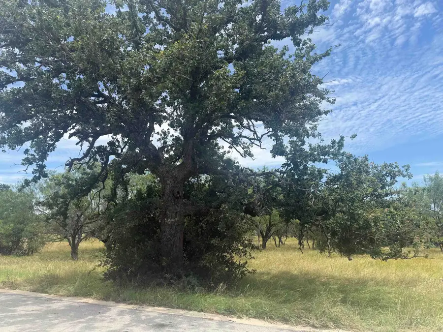 316 Lakawana, Horseshoe Bay, TX 78657 - #2