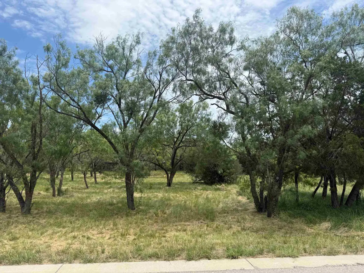 LT W22059A Sun Ray, Horseshoe Bay, TX 78657 - #1